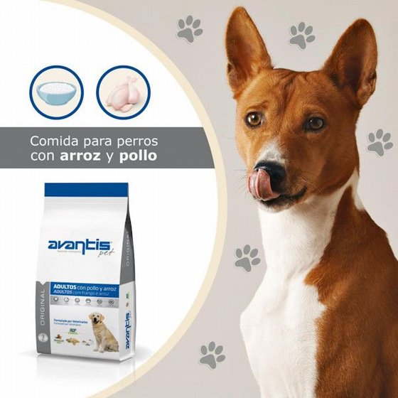 AVANTIS ���� ���� ��� ����