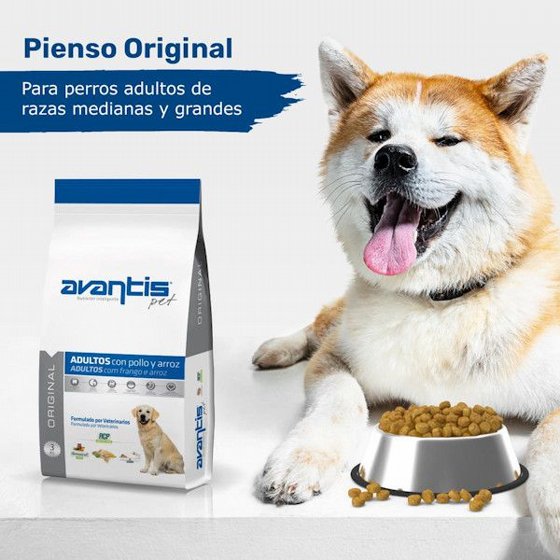 AVANTIS ���� ���� ��� ����