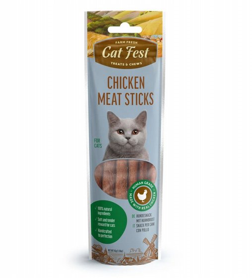 Cat Fest ���� ����� ����� ���