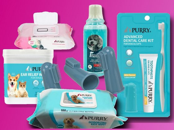 ����� ����� ���� PURRY