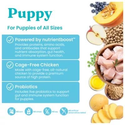 Solid Gold ����� ���� Nutrient Boost ���� ������ ��� ����� ��