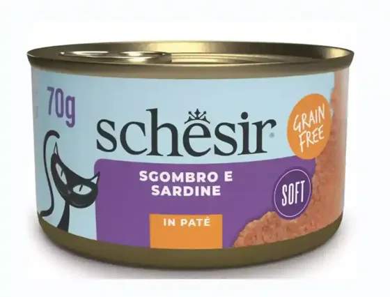  Schesir ���� ���� ���� ����� ���� ��� ���� ��������, ��� �����, 70 ���