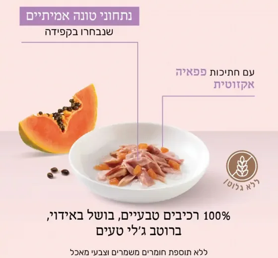 Schesir ���� ���� ���� ����� ���� �� ����� ���� 75 ���