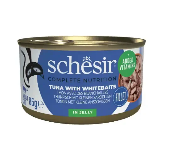  Schesir ���� ���� ���� ����� ���� ����� ����� ���� 85 ���