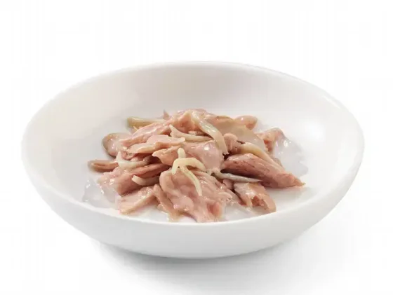  Schesir ���� ���� ���� ����� ���� ����� ����� ���� 85 ���