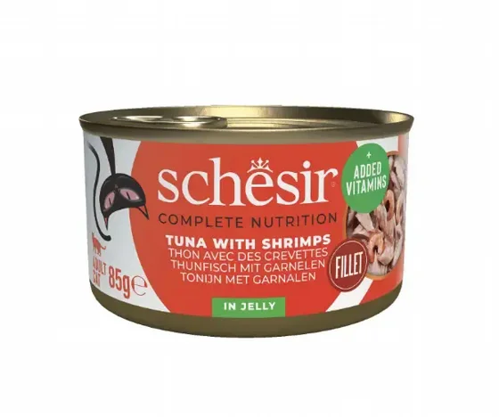 Schesir ���� ���� ���� ����� ���� �� ������ ���� 85 ���