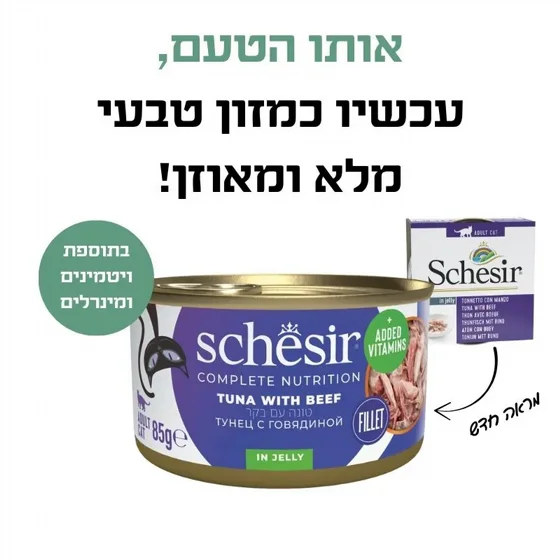 Schesir ���� ���� ���� ����� ���� ���� �� ���� ��� ���� 85 ���