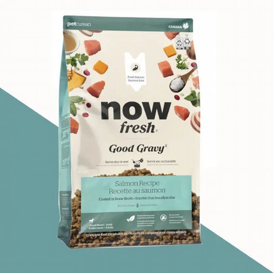 NOW ��� Good Gravy - ���� ������ ���� ��� ���� �����