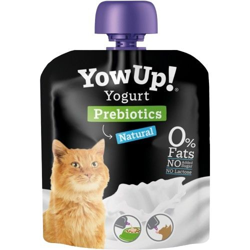 Youp! ������ ���� ����� �������� 85 ���
