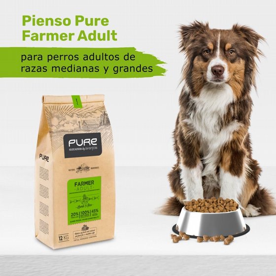 Pure ���� ������ ��� ����� ����