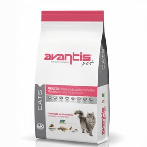 Avantis ������� ��� ����� ����