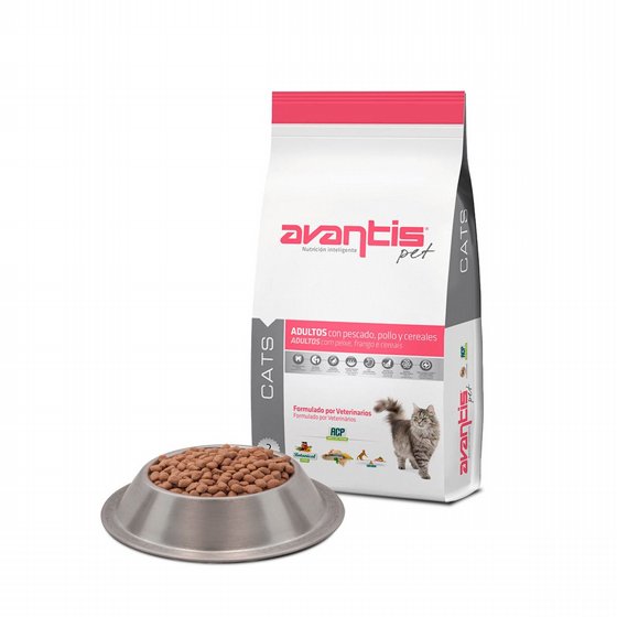 Avantis ������� ��� ����� ����