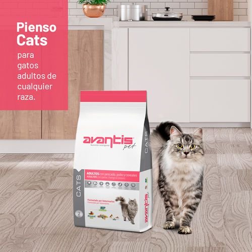 Avantis ������� ��� ����� ����