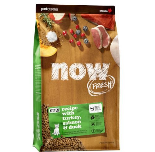 now ���� ����� ������ ���� ����� ������ ��� ����� 3.6 �"�