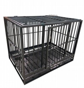 MultiBox: ���� ������ ������� ������ �������� �������