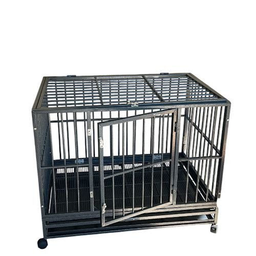 MultiBox: ���� ������ ������� ������ �������� �������