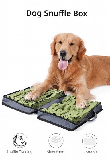 ����� ���� ������ ������ ������ ���� DOGLEMI
