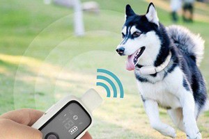 ����� ���� ����� ��������