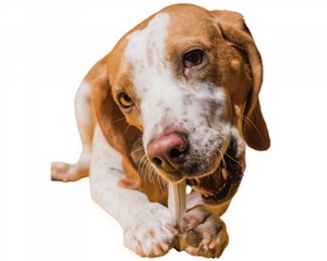 ����� ��� ������� ������: ����� ���� �����