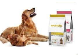 ������� AVANTIS � ����� ����� ���� ������!