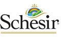 Schesir